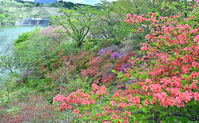 泉ボタニカルガーデン 特集 ぐるり公式サイト 仙台 山形 福島をぐるりとひとまわり